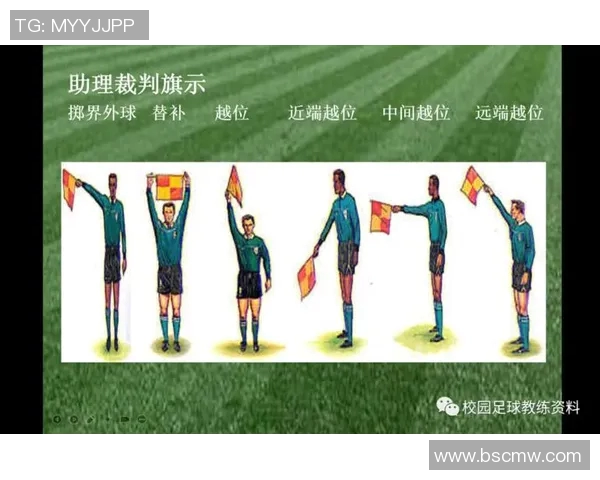 澳大利亚足球界杰出裁判名单及其职业生涯成就分析