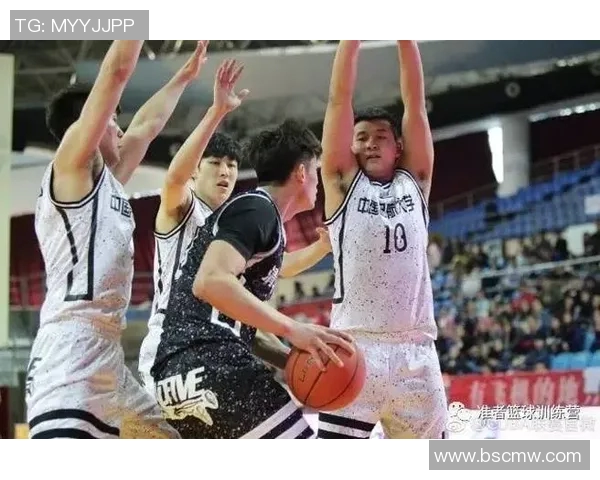 与刘磊畅谈排球生涯的点滴与成长历程