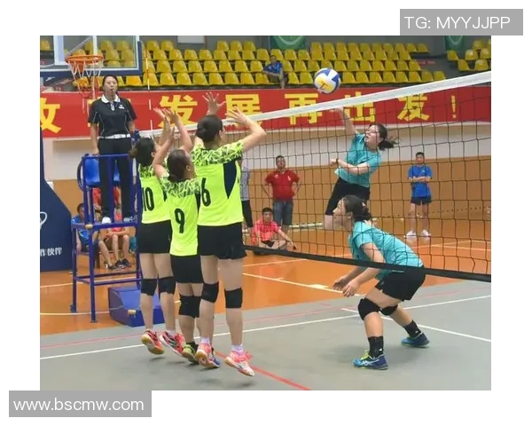 广州排球队总决赛精彩配合分析与表现总结