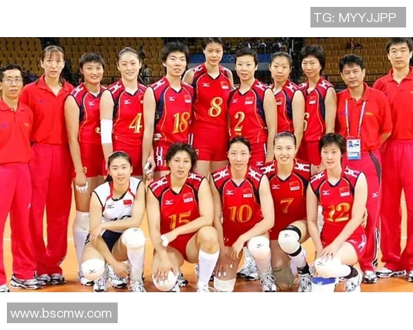 武汉排球队强势崛起排球力量排行榜荣获第三名