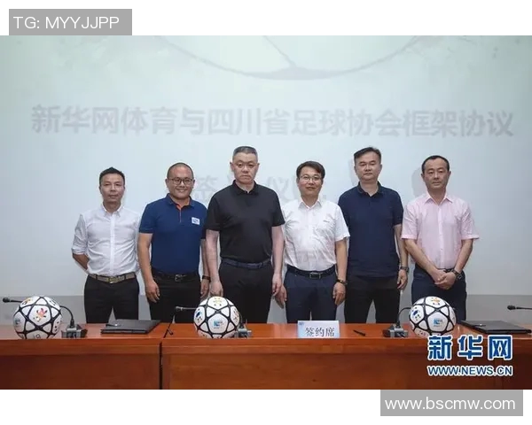 武汉足球队运营模式解析与未来发展展望